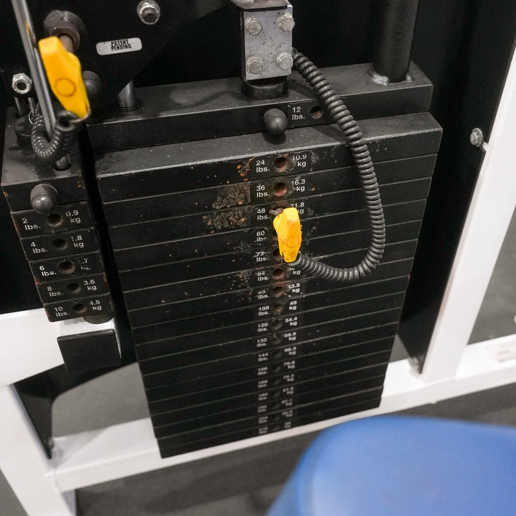 Magnum | Arm Curl | 76669