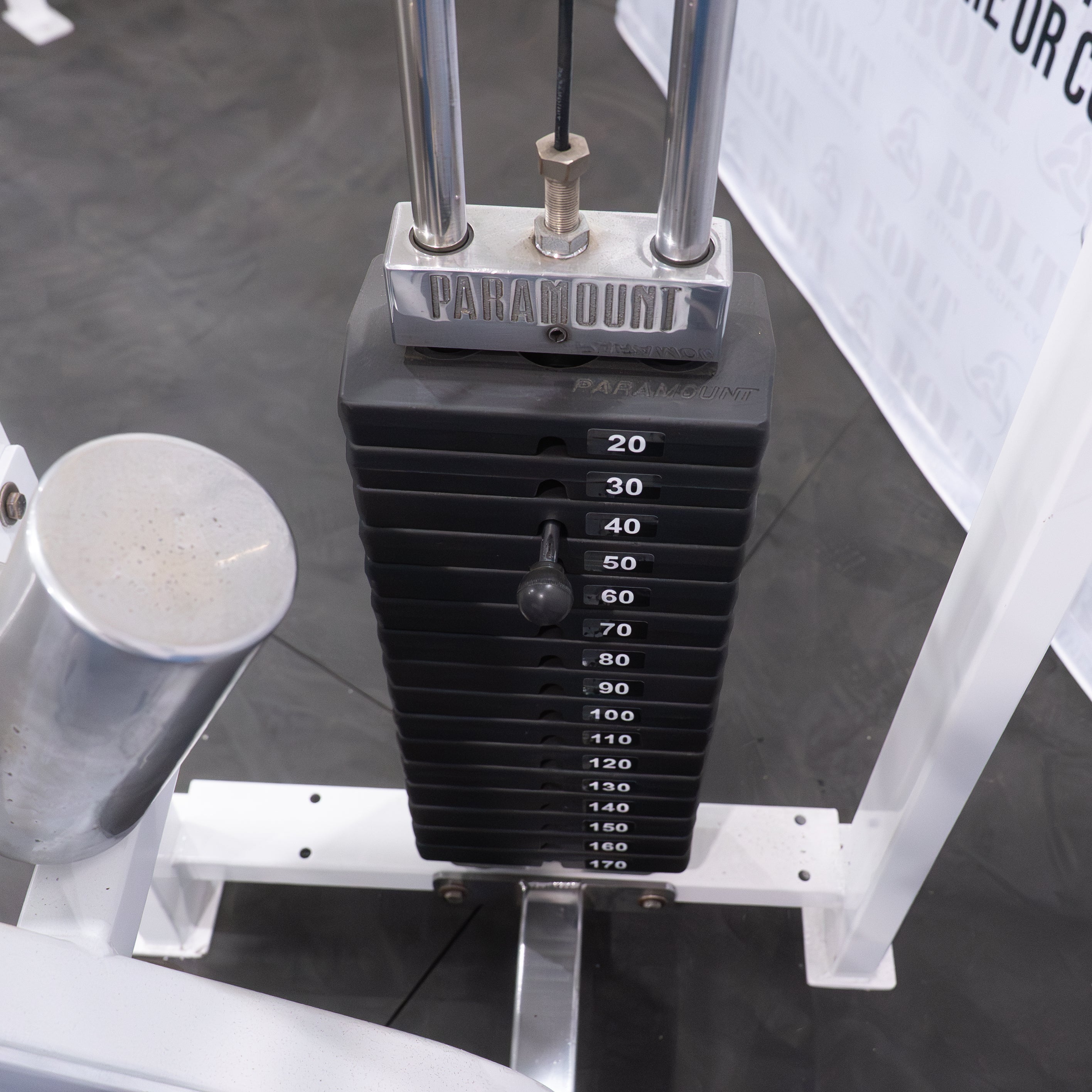 Paramount | AP-2100 Leg Curl