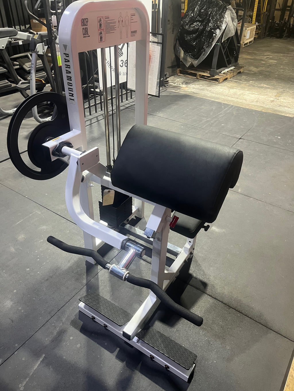 Paramount | Bicep Curl PL 2300